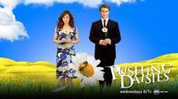 Pushing Daisies (TV)