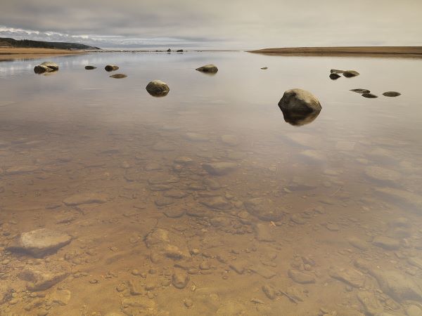 Stillness