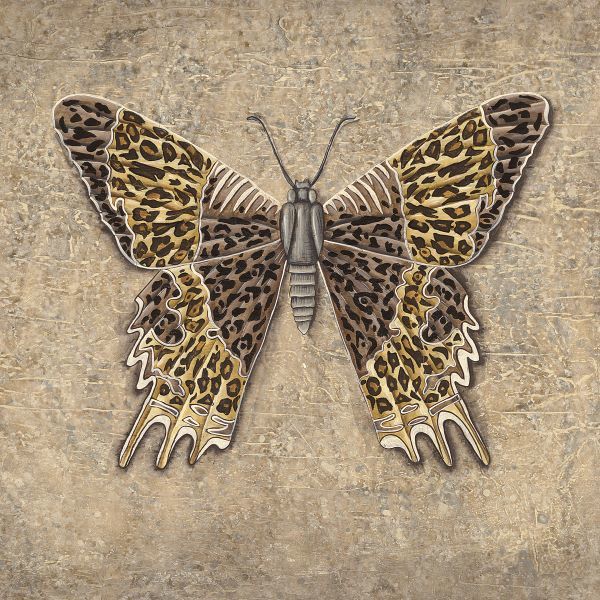 Leopard Butterfly