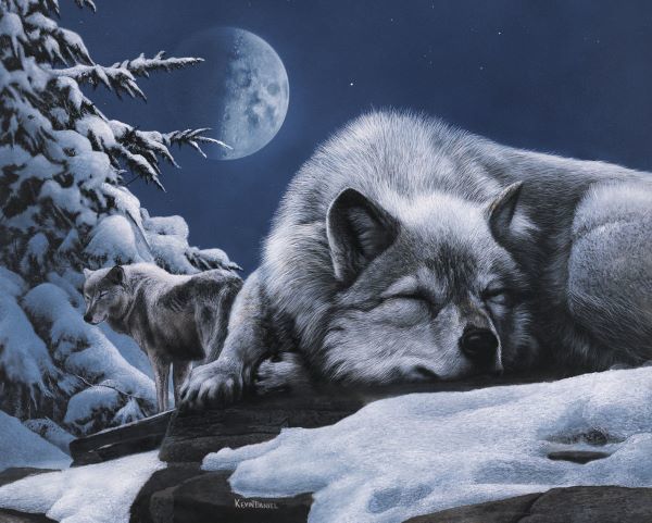 Sleepless Night