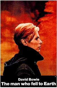 The Man Who Fell to Earth