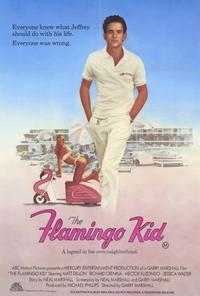 The Flamingo Kid