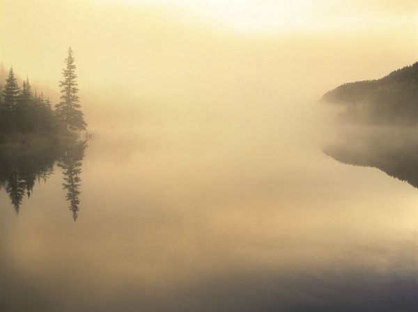 Sunrise on Fog Lake