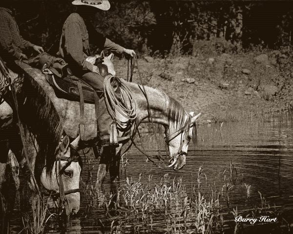 You Can Lead a Horse to Water