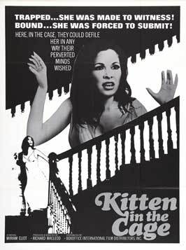 Kitten in a Cage