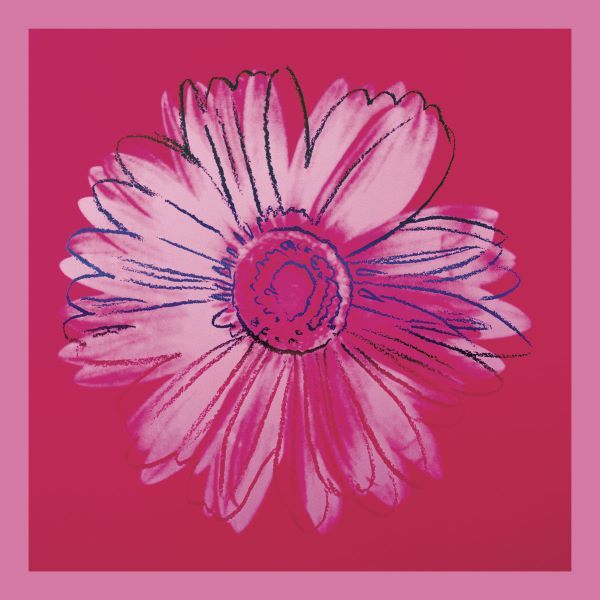 Daisy, c. 1982 (crimson and pink)