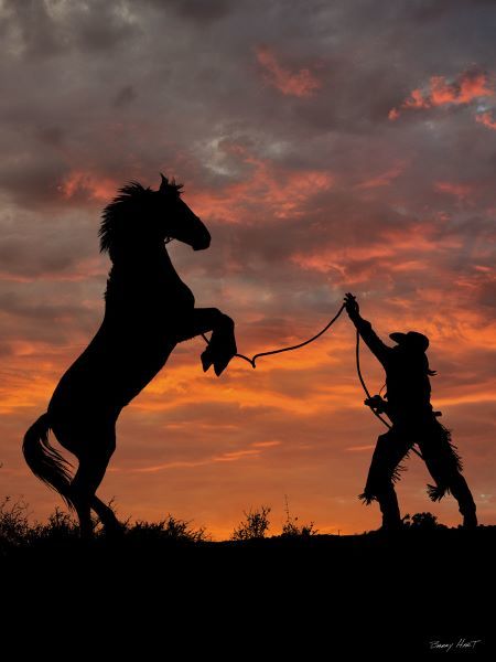 Sunset Silhouette