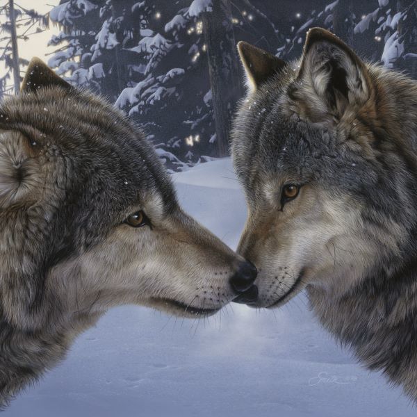 Muzzle Nuzzle (detail)