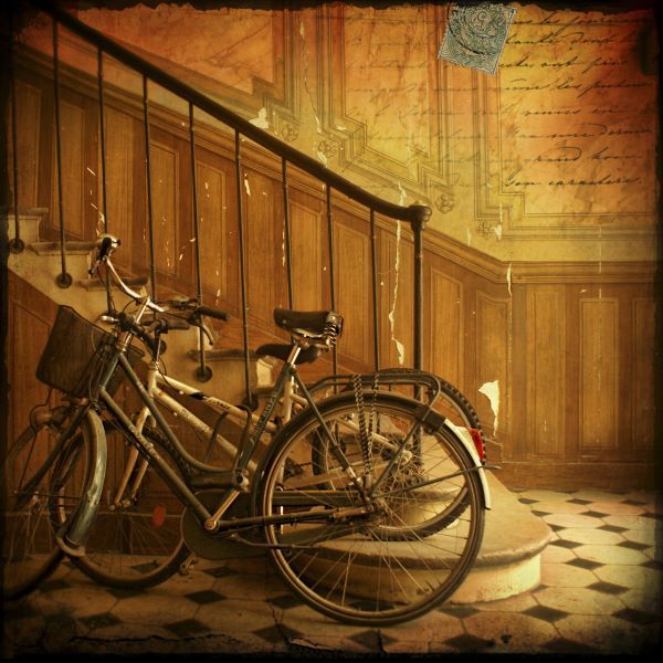 Bikes in Paris, France