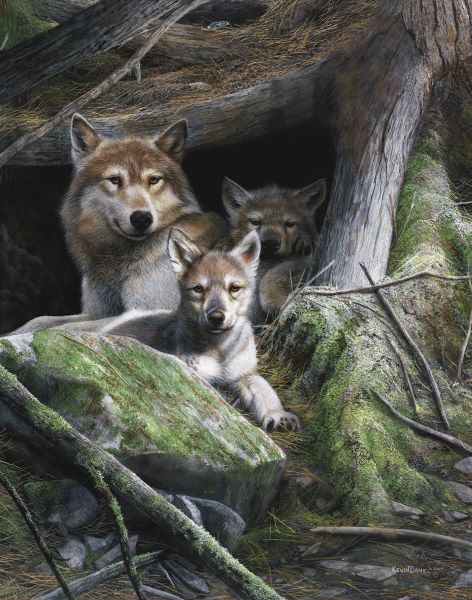 Motherâ€™s Pride
