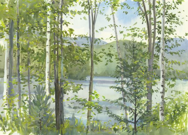 Summer Lake IV