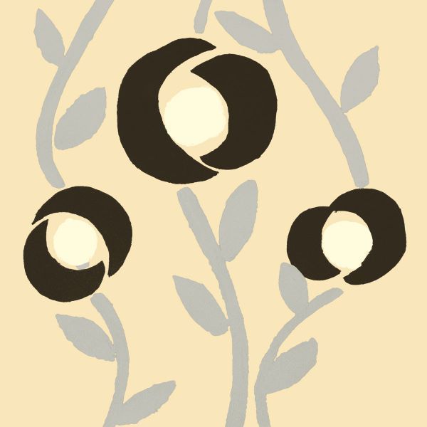 Fiori Vanilla
