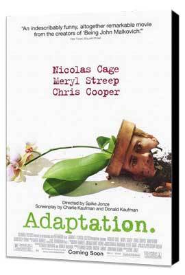 Adaptation