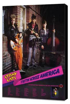 Stray Cats