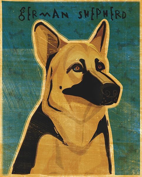 German Shepherd