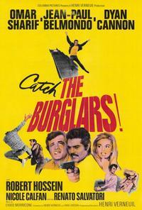 The Burglars